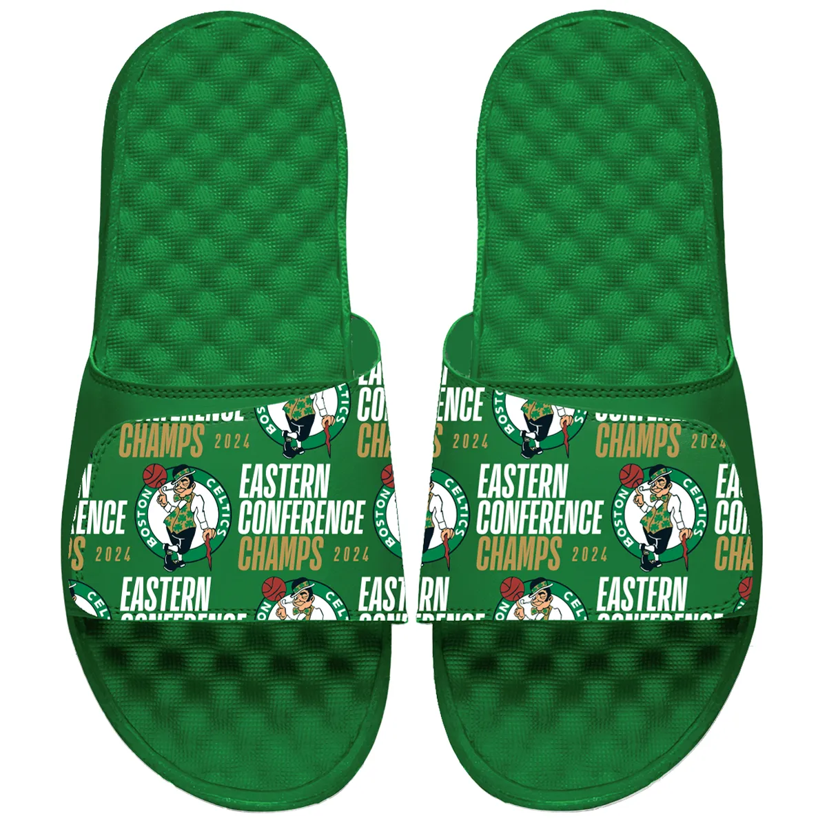 Boston Celtics Eastern Conference Finals Champions