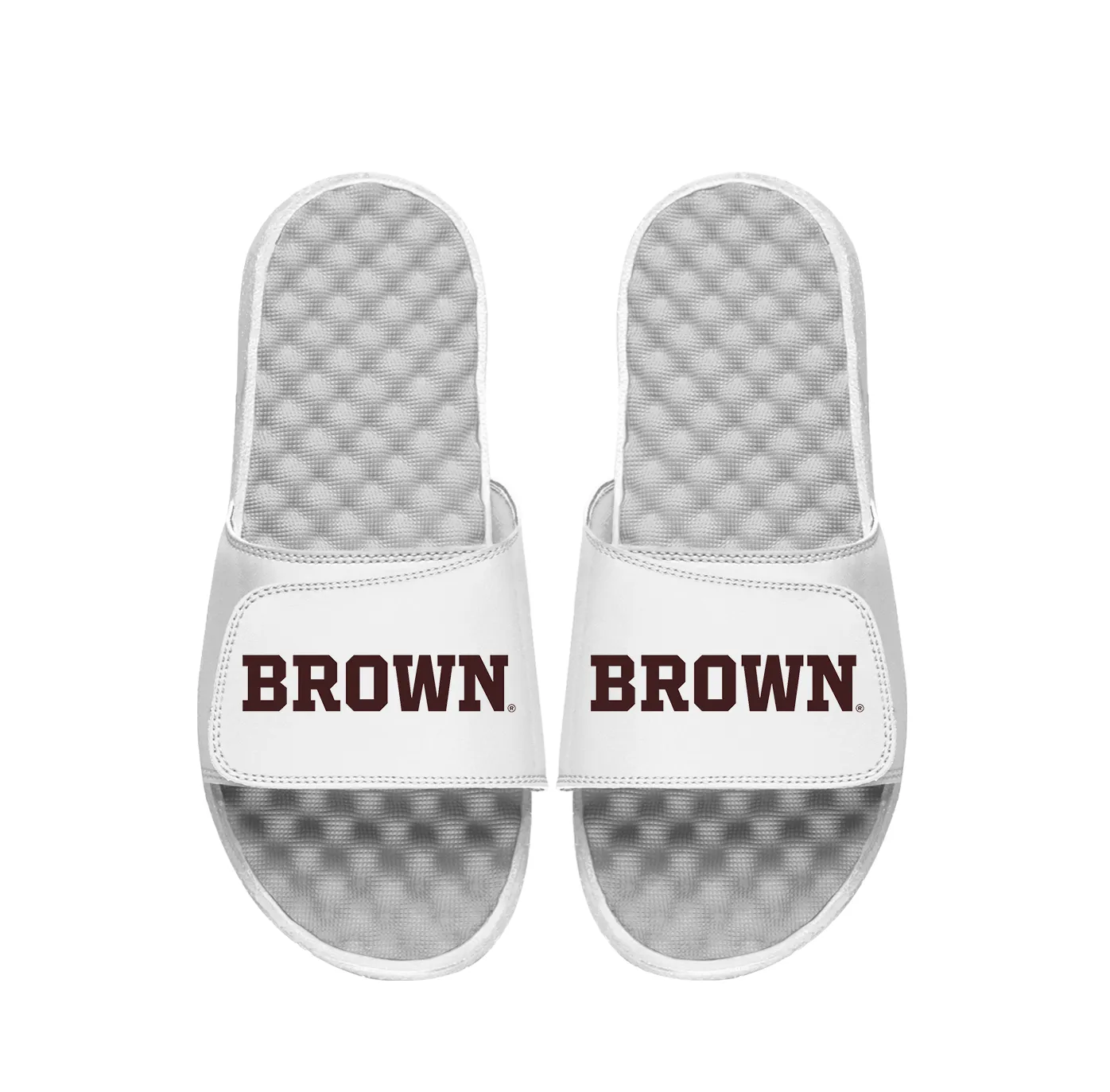 Brown University Wordmark