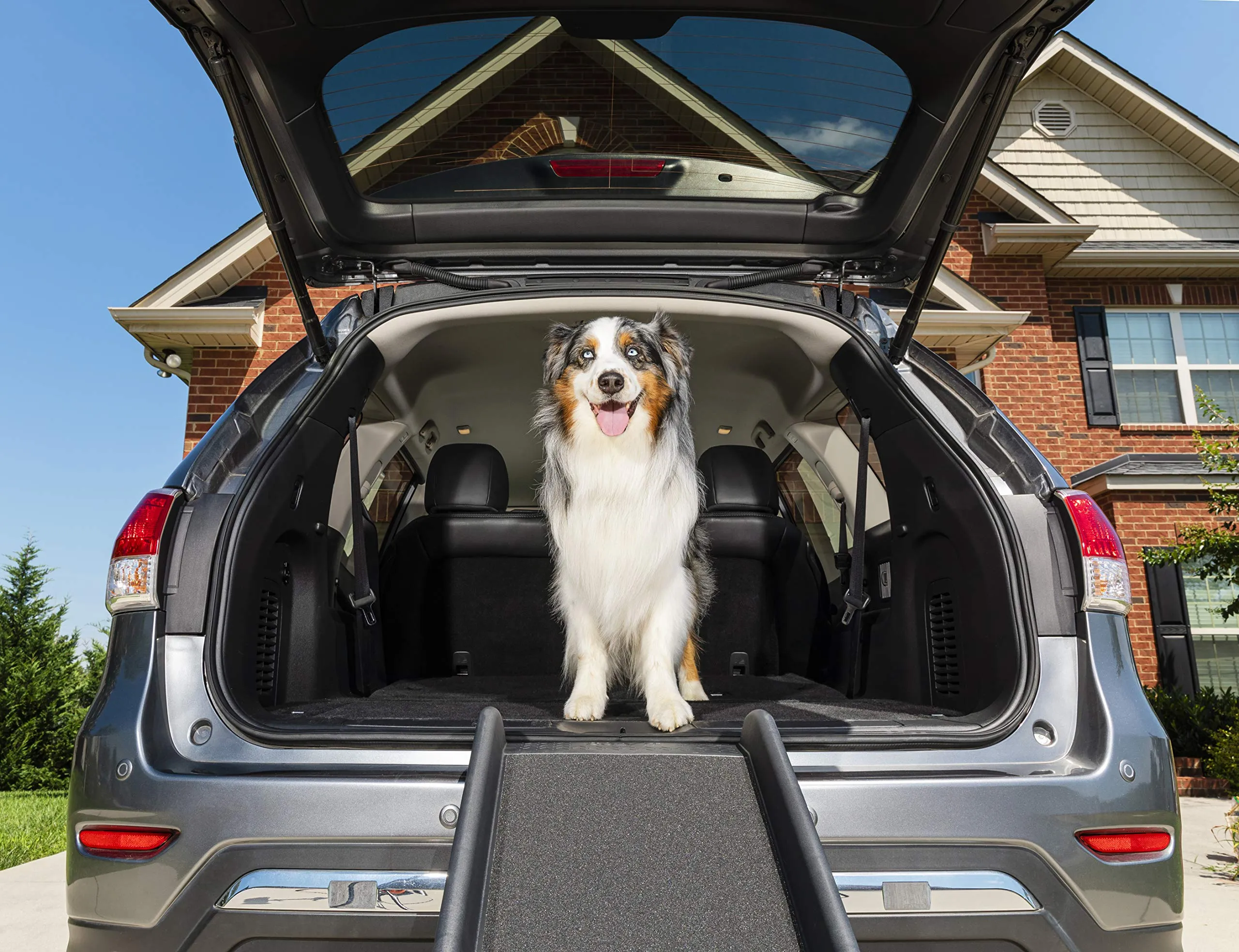 Folding Pet Ramp - Black