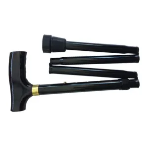 Folding Walking Stick - Black (1)