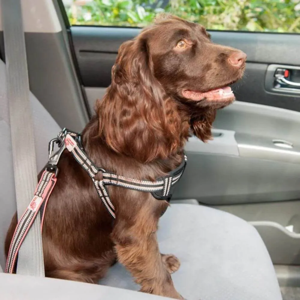 Long Paws Comfort Short Safety Belt / Close Control Lead