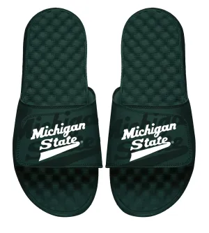 Michigan State Wordmark Tonal Pop Slides