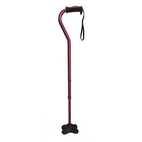 Swan Neck Walking Stick