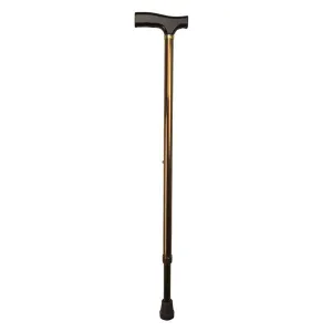 WALKING STICK - BRONZE