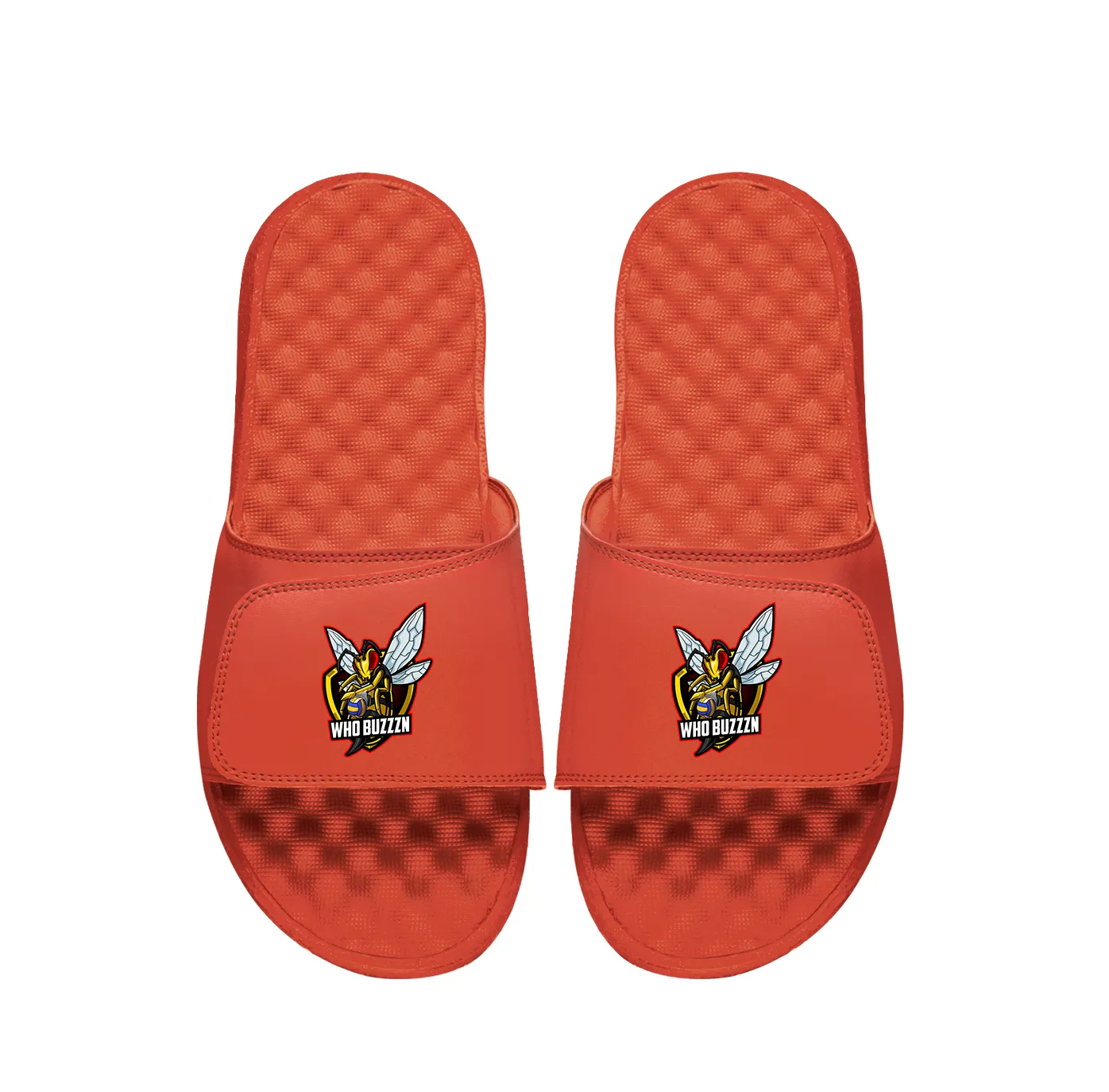 Whobuzzzn Primary PERSONALIZE Slides