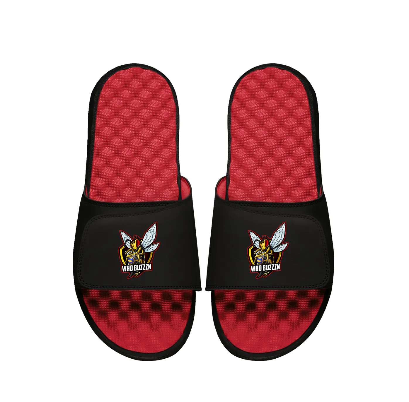 Whobuzzzn Primary PERSONALIZE Slides